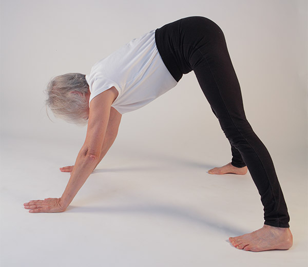 Kidney & Urinary Bladder – Meridian Systems Yoga